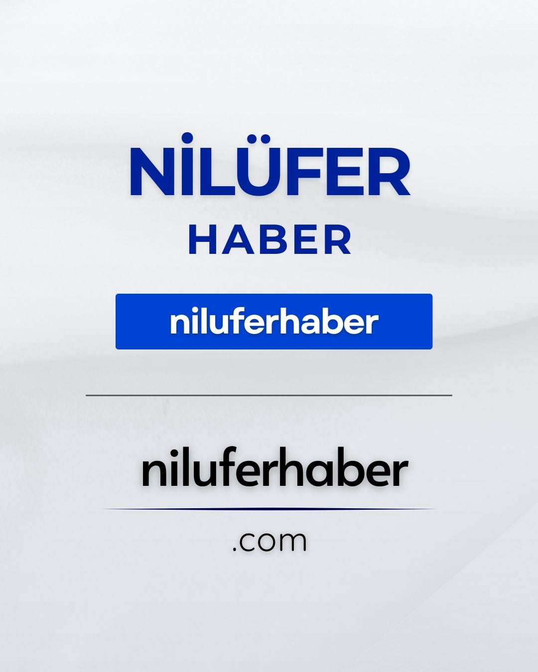 Nilüfer Haber | Selami.com