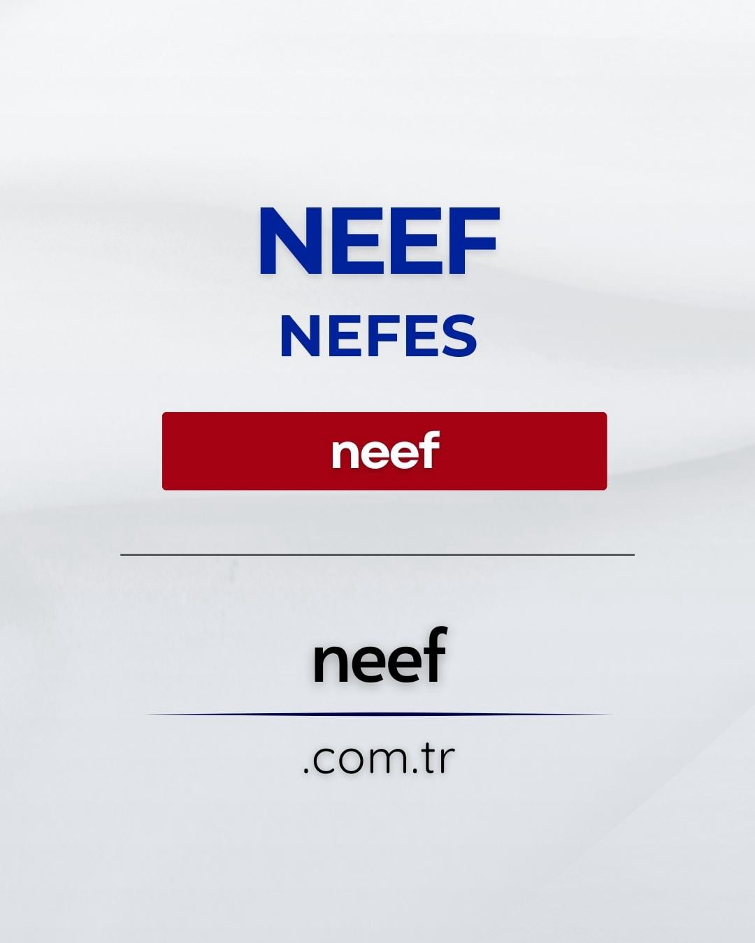Neef | Selami.com